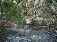 The path to the site from Walnut Creek Park's trails starts at these mostly engulfed stairs.