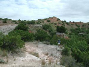 Austin Explorer along the trail