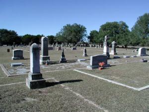 Wide View