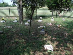 Graves