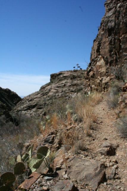 View Of The Trail