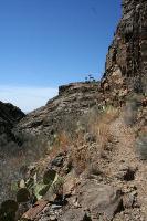 View Of The Trail