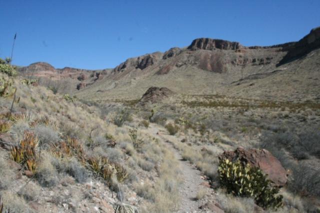 View Of The Trail