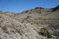 View Of The Trail