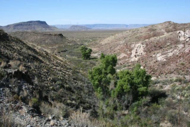 Burro Mesa Springs