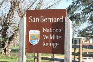 Entrance Sign