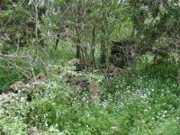 Corral rock fencing.