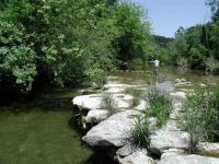 Coppertone crosses Bull Creek at Side Falls to explore the nature preserve on the opposite bank.