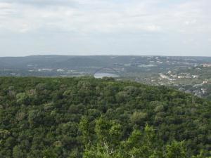 The Bridge In The Distance