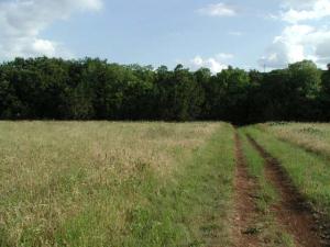 Trail View