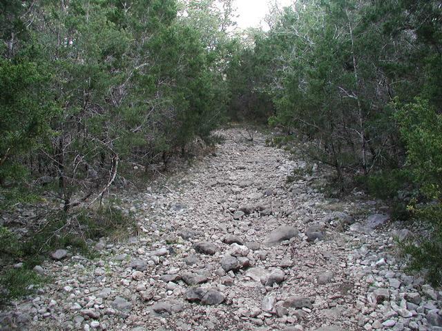 Trail View