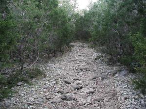 Trail View