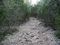 Trail View