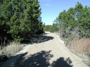 Trail View