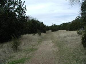 Trail View