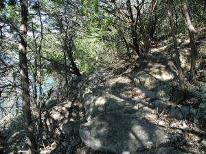 Trail View