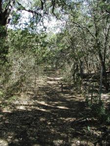 Another Trail View
