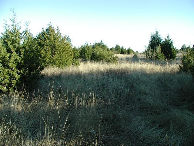 Trail View