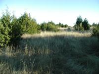 Trail View