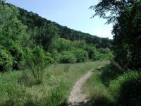 Some sections of the popular Bull Creek trail remain uncrowded.