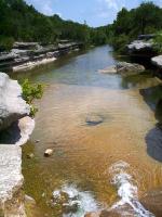 Bull Creek