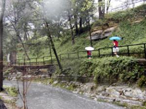 Turtle Creek on a wet day.