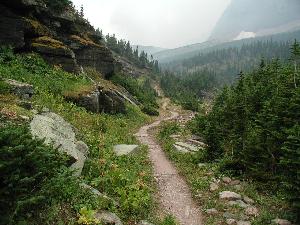 Trail View