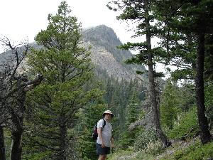 Austin Explorer on the trail